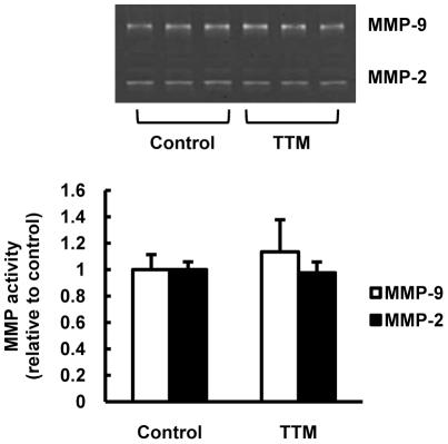 https://cdn.ncbi.nlm.nih.gov/pmc/blobs/5f8b/3262830/ba9cc9a4272d/pone.0030678.g002.jpg