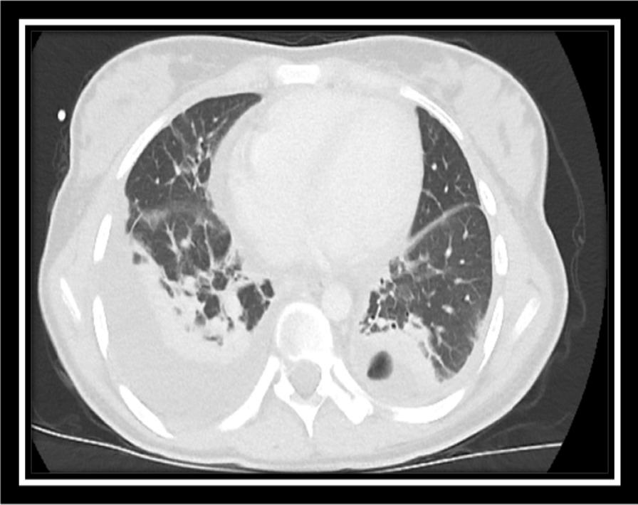 https://cdn.ncbi.nlm.nih.gov/pmc/blobs/5f8b/9801570/9759b26ef1dc/13256_2022_3702_Fig4_HTML.jpg