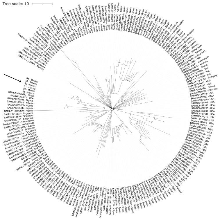 https://cdn.ncbi.nlm.nih.gov/pmc/blobs/5f8c/12386949/0d6c908d9603/ijms-26-08047-g007.jpg