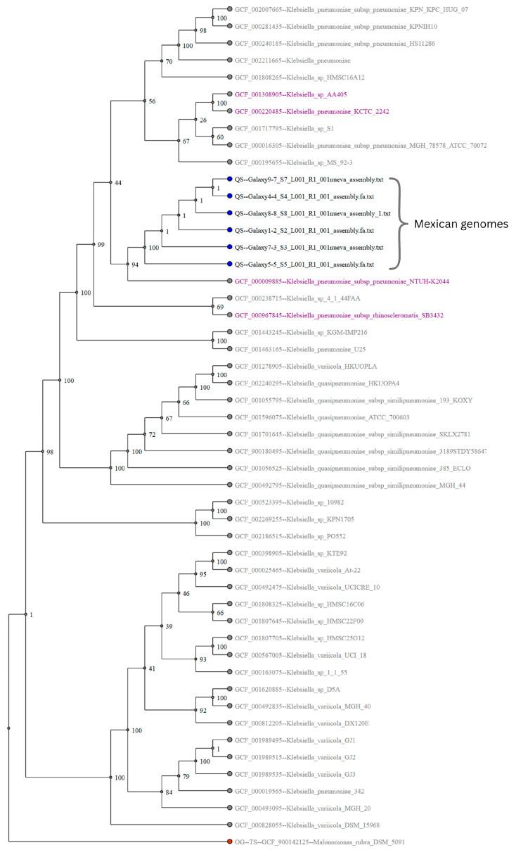 https://cdn.ncbi.nlm.nih.gov/pmc/blobs/5f8c/12386949/634301e0c685/ijms-26-08047-g006.jpg