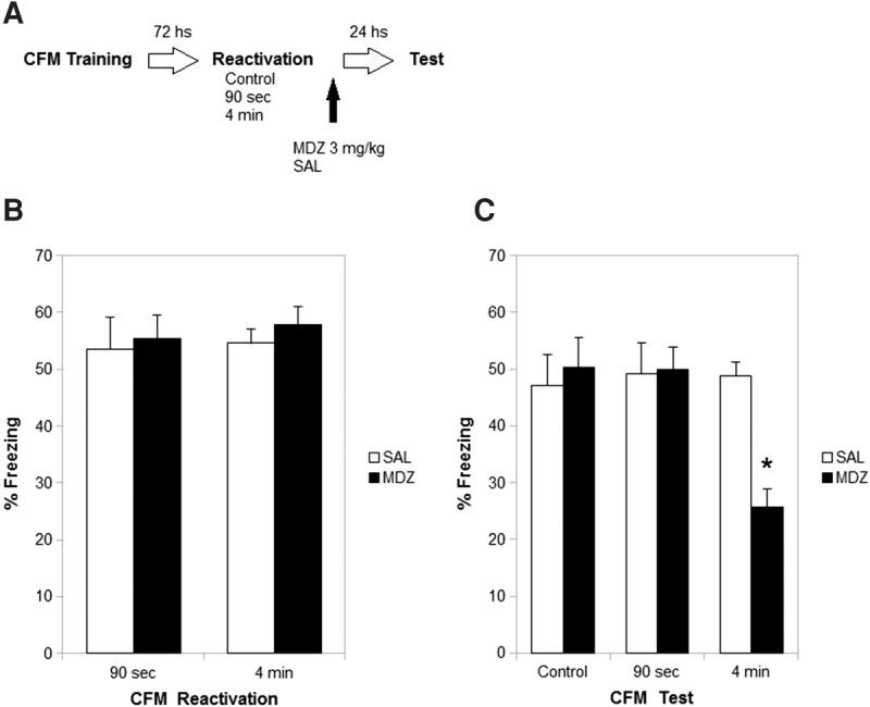 https://cdn.ncbi.nlm.nih.gov/pmc/blobs/5f8c/4986855/63932d340849/FerrerMontiLM042564f01.jpg