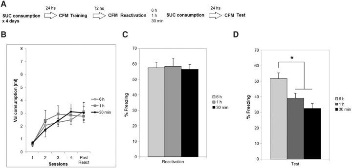 https://cdn.ncbi.nlm.nih.gov/pmc/blobs/5f8c/4986855/c2af34aa6abe/FerrerMontiLM042564f06.jpg