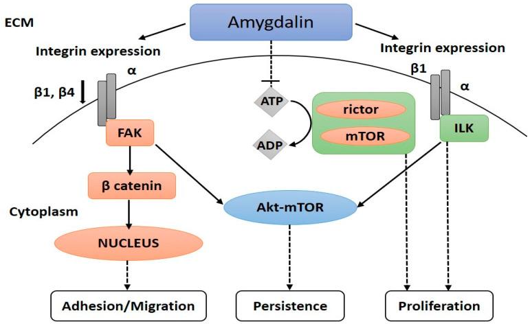 https://cdn.ncbi.nlm.nih.gov/pmc/blobs/5f8c/9599719/78ffce24ca61/biomolecules-12-01514-g004.jpg