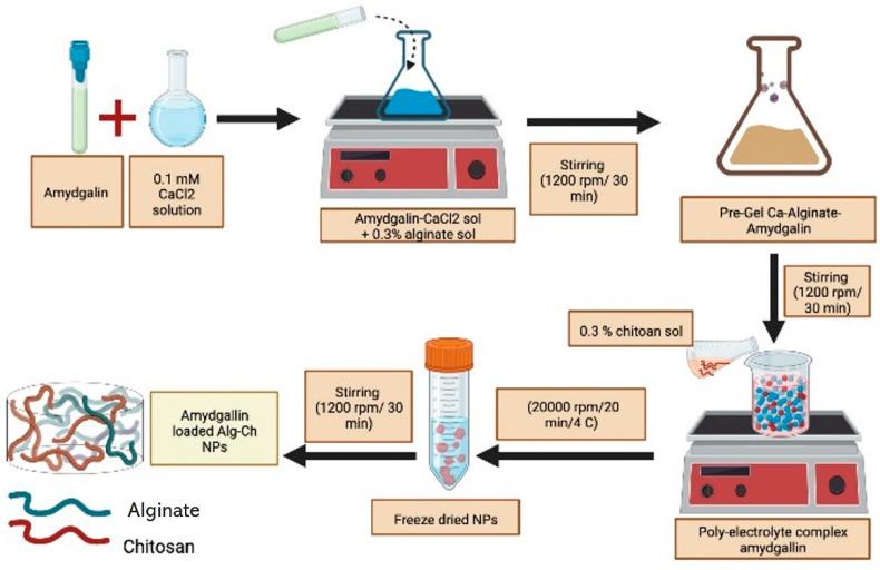 https://cdn.ncbi.nlm.nih.gov/pmc/blobs/5f8c/9599719/7caf8f68a247/biomolecules-12-01514-g006.jpg