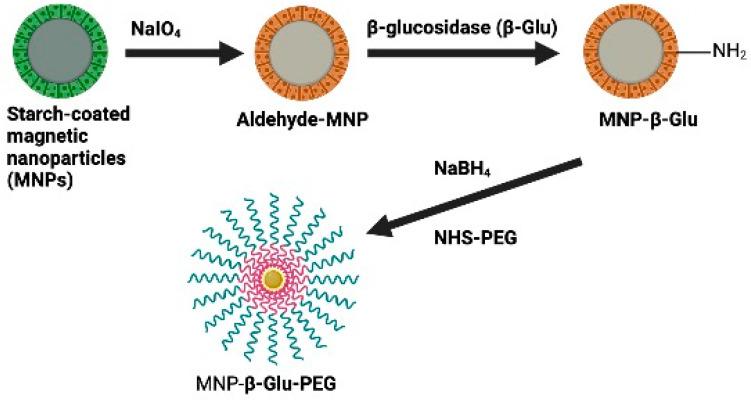 https://cdn.ncbi.nlm.nih.gov/pmc/blobs/5f8c/9599719/8dc3de384f8c/biomolecules-12-01514-g007.jpg