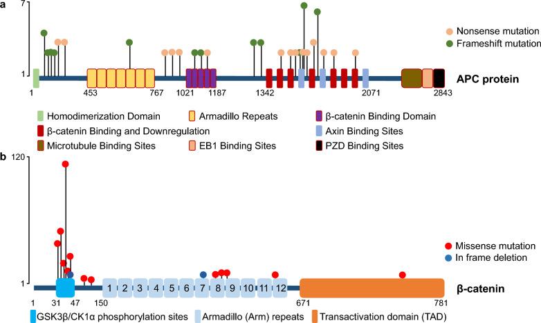 https://cdn.ncbi.nlm.nih.gov/pmc/blobs/5f8d/11170811/cc4f58fbbd85/12967_2024_5380_Fig2_HTML.jpg