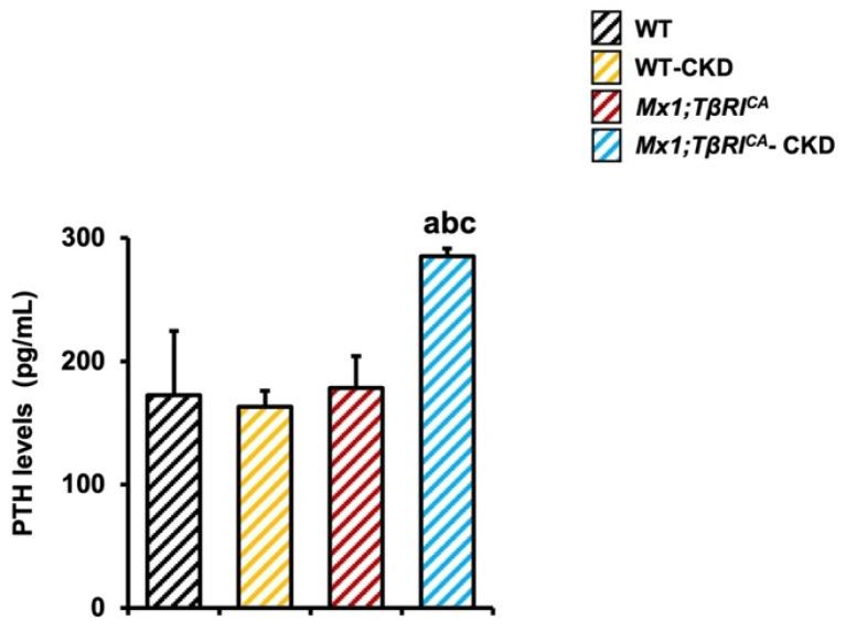 https://cdn.ncbi.nlm.nih.gov/pmc/blobs/5f8d/11943261/b3101f5592a1/ijms-26-02704-g003.jpg