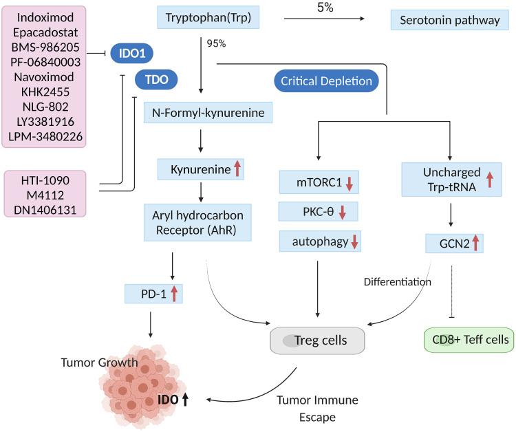 https://cdn.ncbi.nlm.nih.gov/pmc/blobs/5f8f/9374094/3ed92ac2dae6/DDDT-16-2639-g0002.jpg