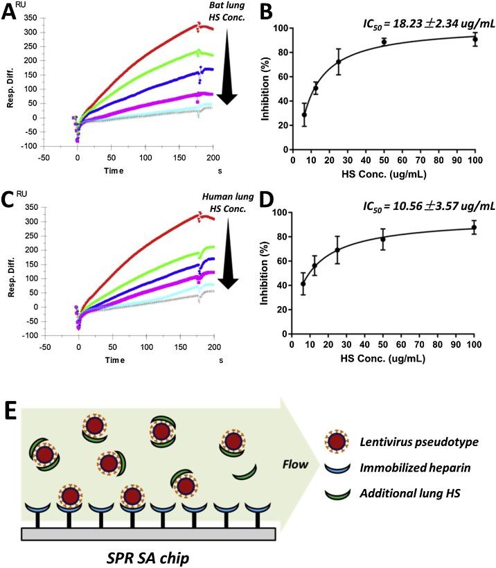https://cdn.ncbi.nlm.nih.gov/pmc/blobs/5f92/7882221/ae21dcef6abe/gr5_lrg.jpg