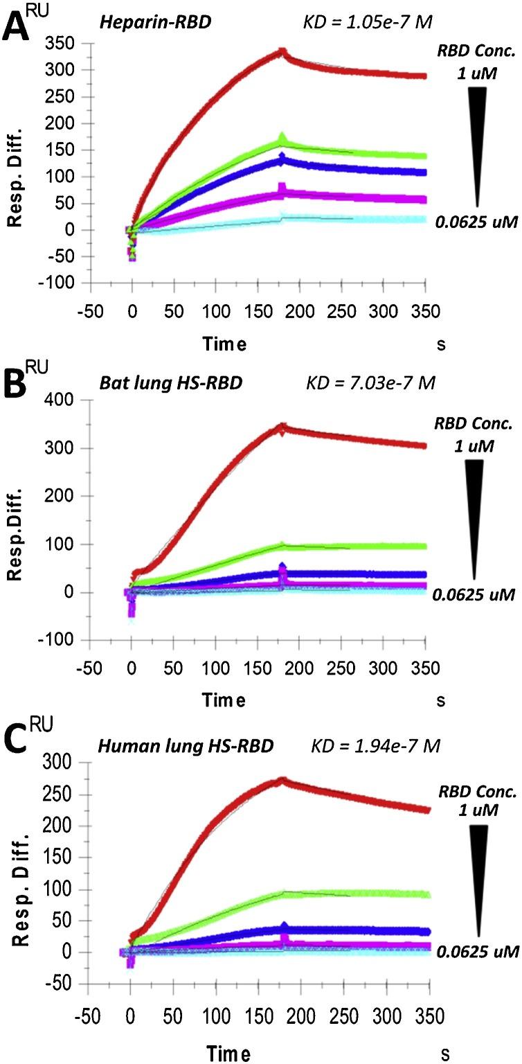 https://cdn.ncbi.nlm.nih.gov/pmc/blobs/5f92/7882221/f3ceaabac9b7/gr4_lrg.jpg