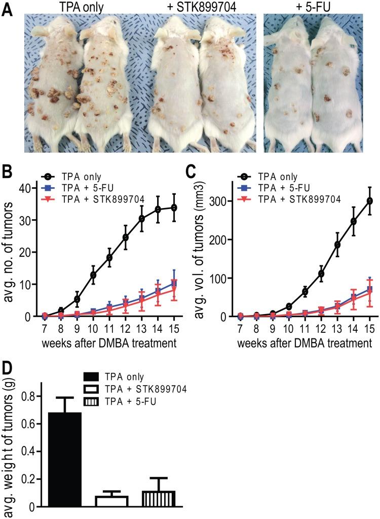 https://cdn.ncbi.nlm.nih.gov/pmc/blobs/5f96/5351965/38f8eab665f2/pone.0173311.g005.jpg