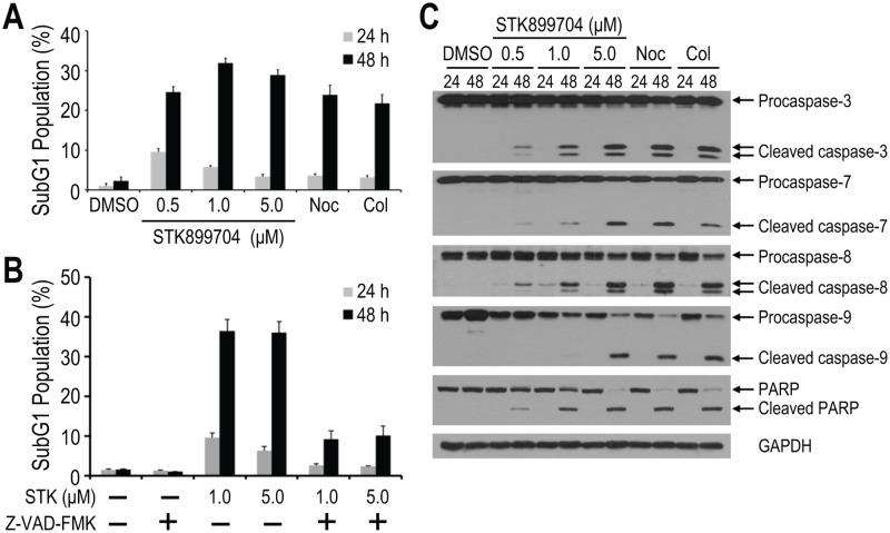 https://cdn.ncbi.nlm.nih.gov/pmc/blobs/5f96/5351965/502df481d37e/pone.0173311.g004.jpg