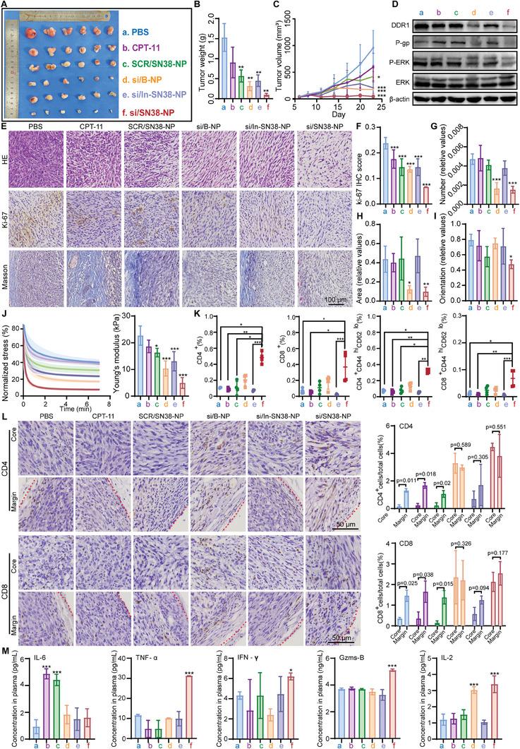https://cdn.ncbi.nlm.nih.gov/pmc/blobs/5f97/11434232/e4affc7bac1c/ADVS-11-2402107-g005.jpg