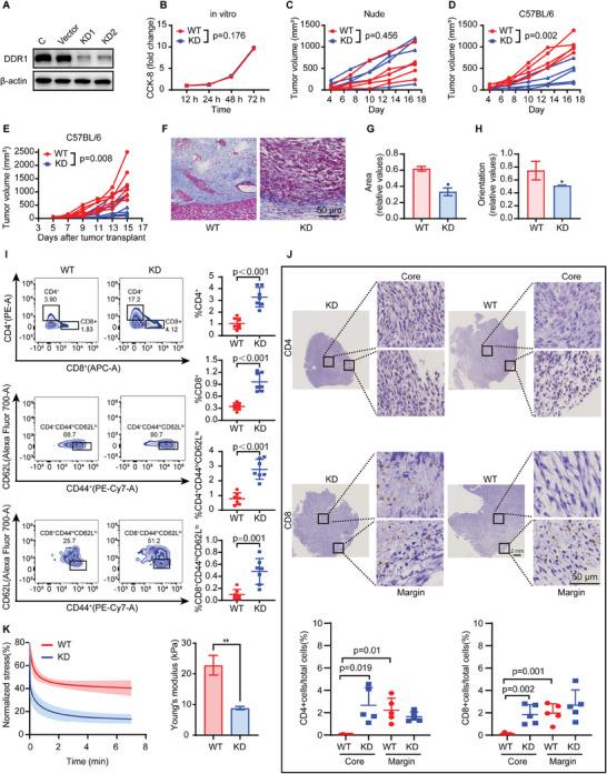 https://cdn.ncbi.nlm.nih.gov/pmc/blobs/5f97/11434232/eb712c23ef72/ADVS-11-2402107-g007.jpg