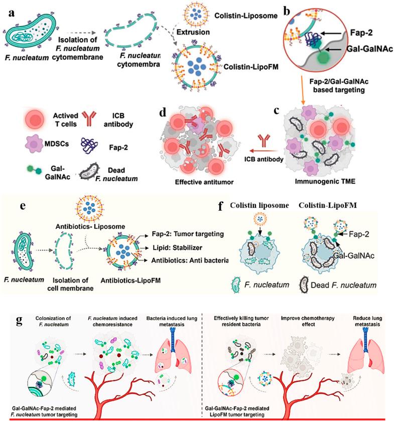 https://cdn.ncbi.nlm.nih.gov/pmc/blobs/5f97/12230804/48f0b5b326c1/d5ra01711d-f13.jpg