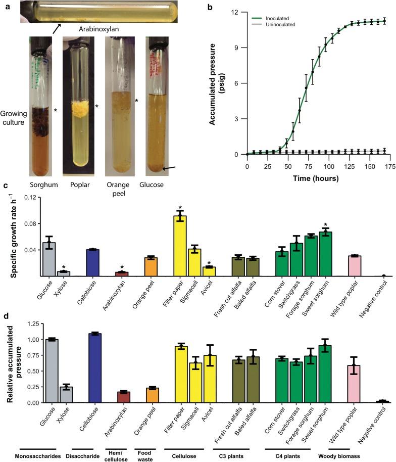 https://cdn.ncbi.nlm.nih.gov/pmc/blobs/5f97/6203967/34128429771f/13068_2018_1292_Fig3_HTML.jpg