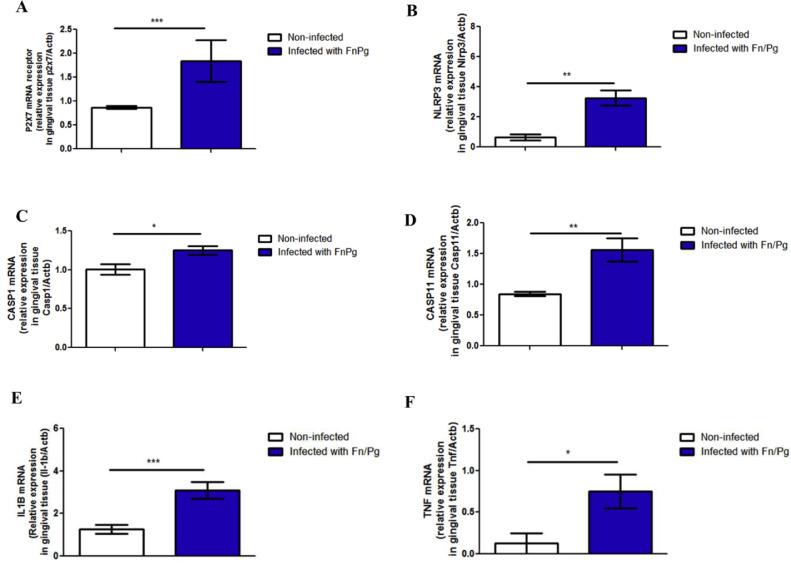 https://cdn.ncbi.nlm.nih.gov/pmc/blobs/5f99/8610350/9e2f5116ed70/gr4.jpg