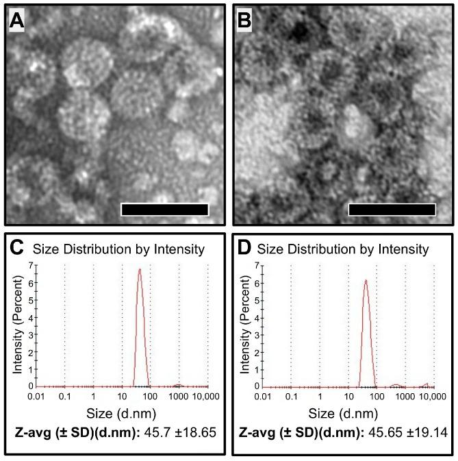 https://cdn.ncbi.nlm.nih.gov/pmc/blobs/5f9c/12388387/a73b17ce6952/microorganisms-13-01878-g006.jpg