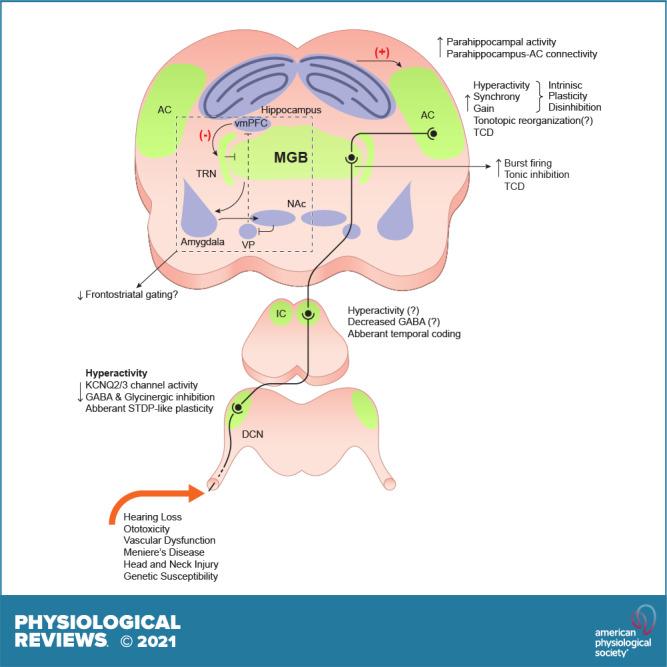https://cdn.ncbi.nlm.nih.gov/pmc/blobs/5f9c/8576365/cc6f606560e1/prv-00029-2020r01.jpg