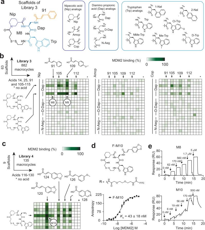 https://cdn.ncbi.nlm.nih.gov/pmc/blobs/5f9d/9250534/4b44c12995f7/41467_2022_31428_Fig5_HTML.jpg