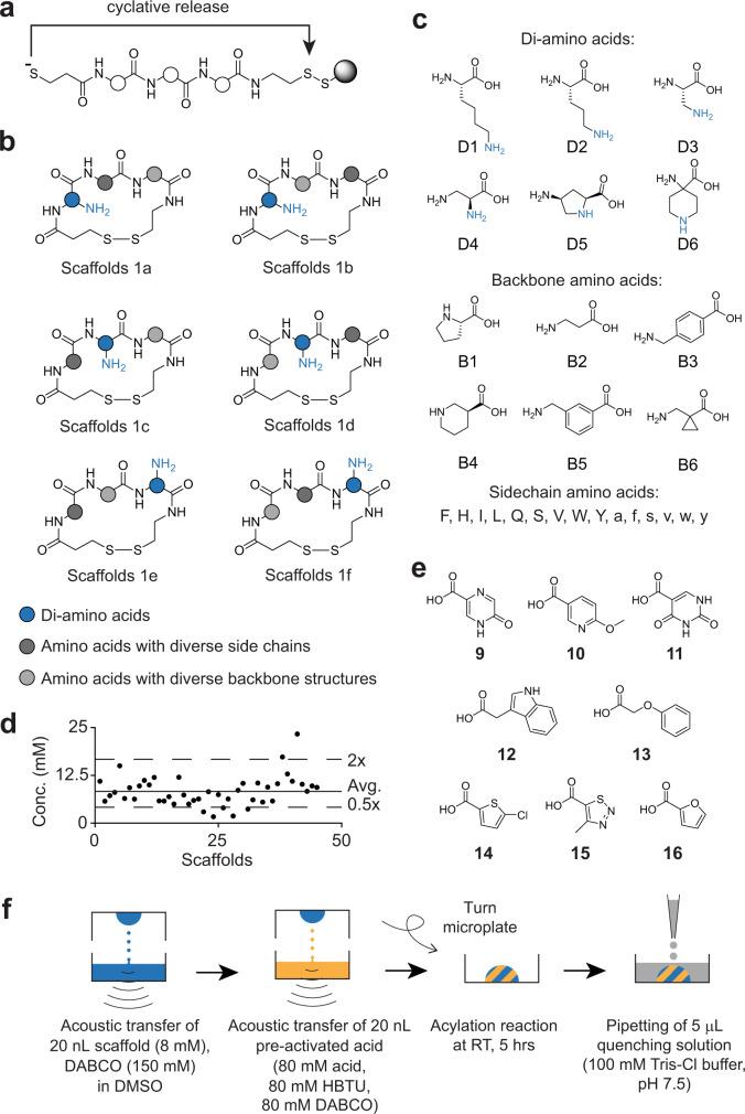 https://cdn.ncbi.nlm.nih.gov/pmc/blobs/5f9d/9250534/6ab787df0de8/41467_2022_31428_Fig2_HTML.jpg