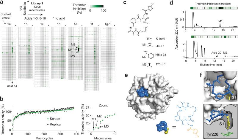 https://cdn.ncbi.nlm.nih.gov/pmc/blobs/5f9d/9250534/e1f14396eaa0/41467_2022_31428_Fig3_HTML.jpg