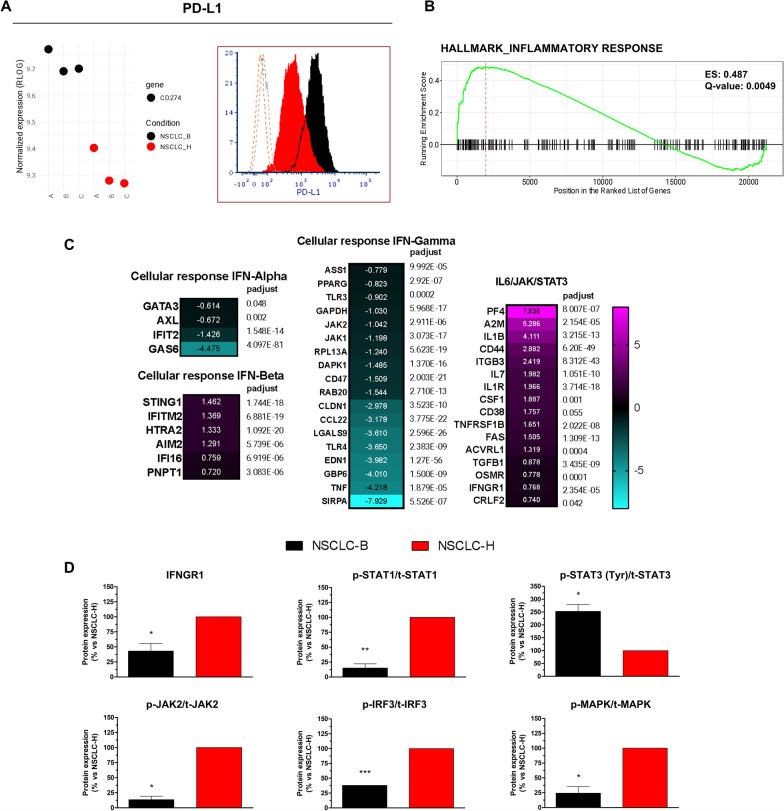 https://cdn.ncbi.nlm.nih.gov/pmc/blobs/5f9f/11697469/4e47f452ae5b/12967_2024_6023_Fig3_HTML.jpg