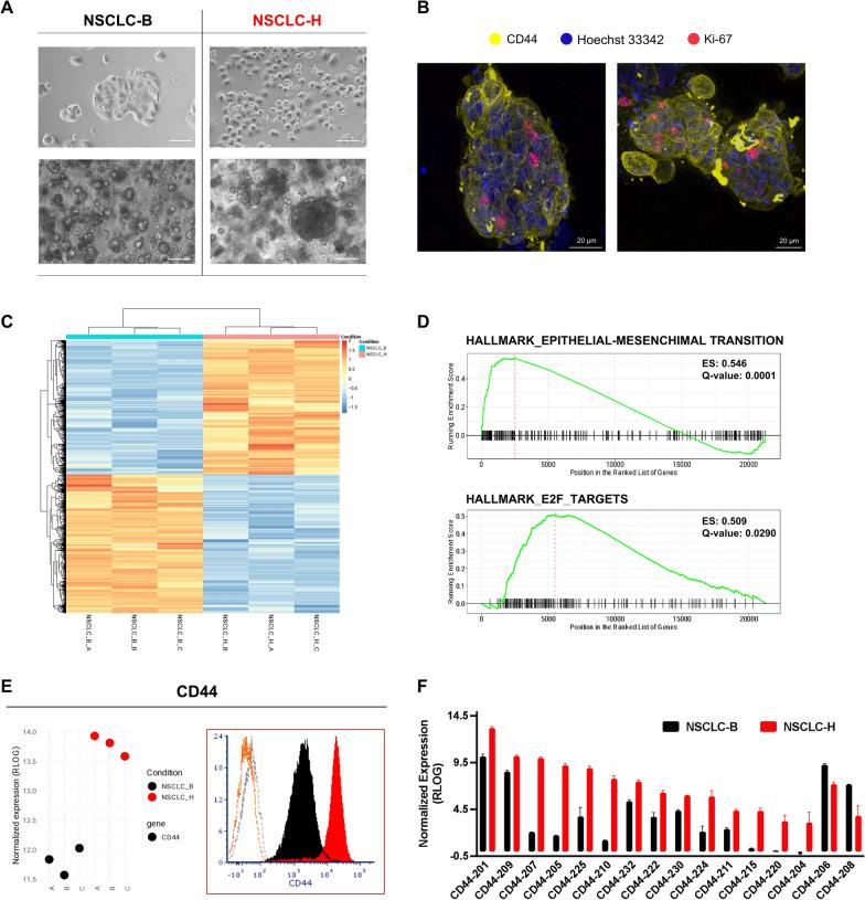 https://cdn.ncbi.nlm.nih.gov/pmc/blobs/5f9f/11697469/aab44636db21/12967_2024_6023_Fig2_HTML.jpg