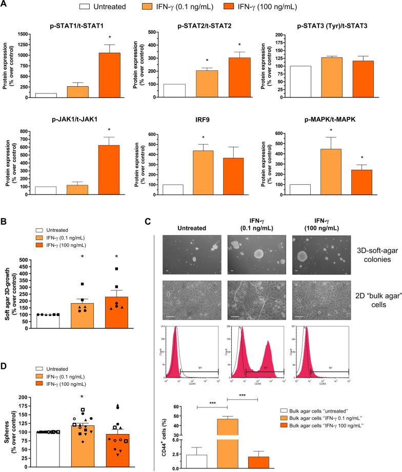 https://cdn.ncbi.nlm.nih.gov/pmc/blobs/5f9f/11697469/db6b8ccada81/12967_2024_6023_Fig4_HTML.jpg