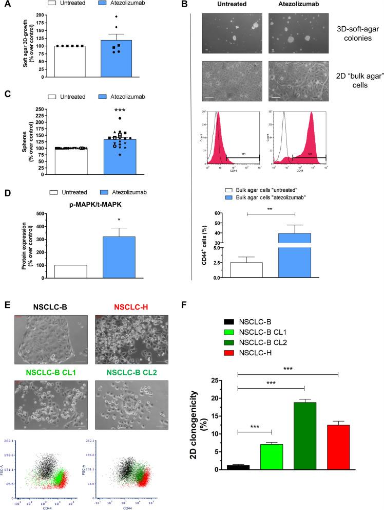 https://cdn.ncbi.nlm.nih.gov/pmc/blobs/5f9f/11697469/e1cce5fdb7bd/12967_2024_6023_Fig6_HTML.jpg