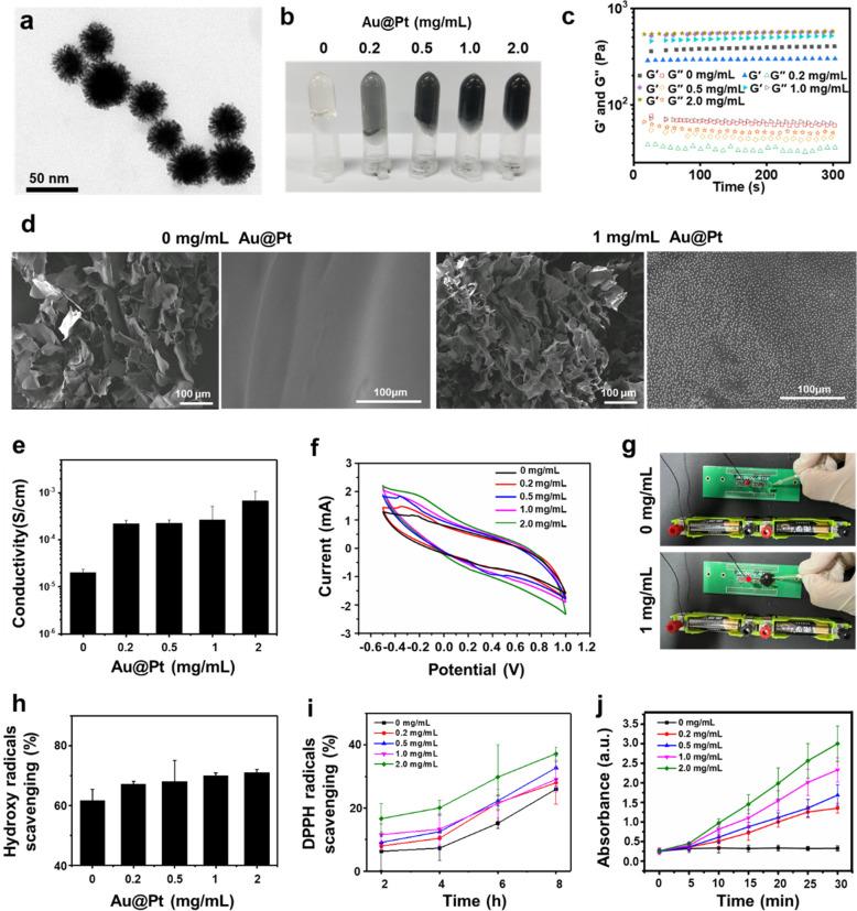 https://cdn.ncbi.nlm.nih.gov/pmc/blobs/5f9f/9933615/71a303dabbcf/nn2c07436_0002.jpg