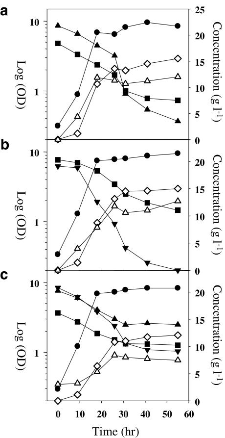 https://cdn.ncbi.nlm.nih.gov/pmc/blobs/5fa0/2854344/94fed6a1fe51/253_2009_2407_Fig1_HTML.jpg