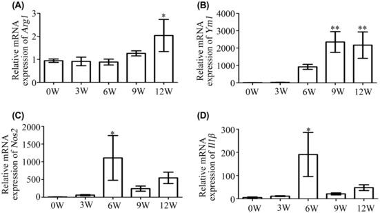 https://cdn.ncbi.nlm.nih.gov/pmc/blobs/5fa3/10399532/4d3025b8db23/JCMM-27-2261-g002.jpg