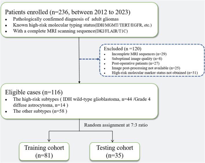 https://cdn.ncbi.nlm.nih.gov/pmc/blobs/5fa3/11330218/aaafe34a3117/ACN3-11-2073-g001.jpg