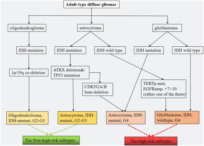 https://cdn.ncbi.nlm.nih.gov/pmc/blobs/5fa3/11330218/b6bd9cb5030c/ACN3-11-2073-g008.jpg