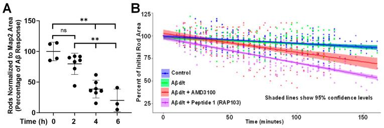https://cdn.ncbi.nlm.nih.gov/pmc/blobs/5fa4/10813319/d725e83c971d/biomedicines-12-00093-g006.jpg