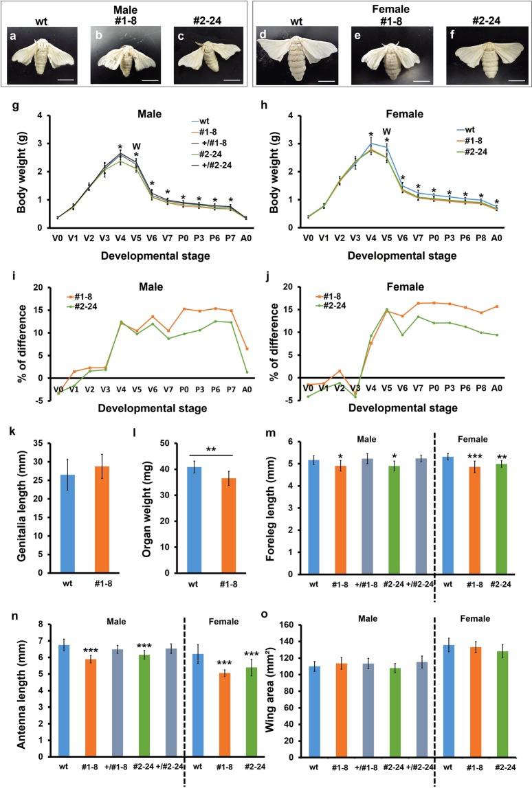 https://cdn.ncbi.nlm.nih.gov/pmc/blobs/5fa5/6895095/1941fce76e8b/41598_2019_54962_Fig2_HTML.jpg