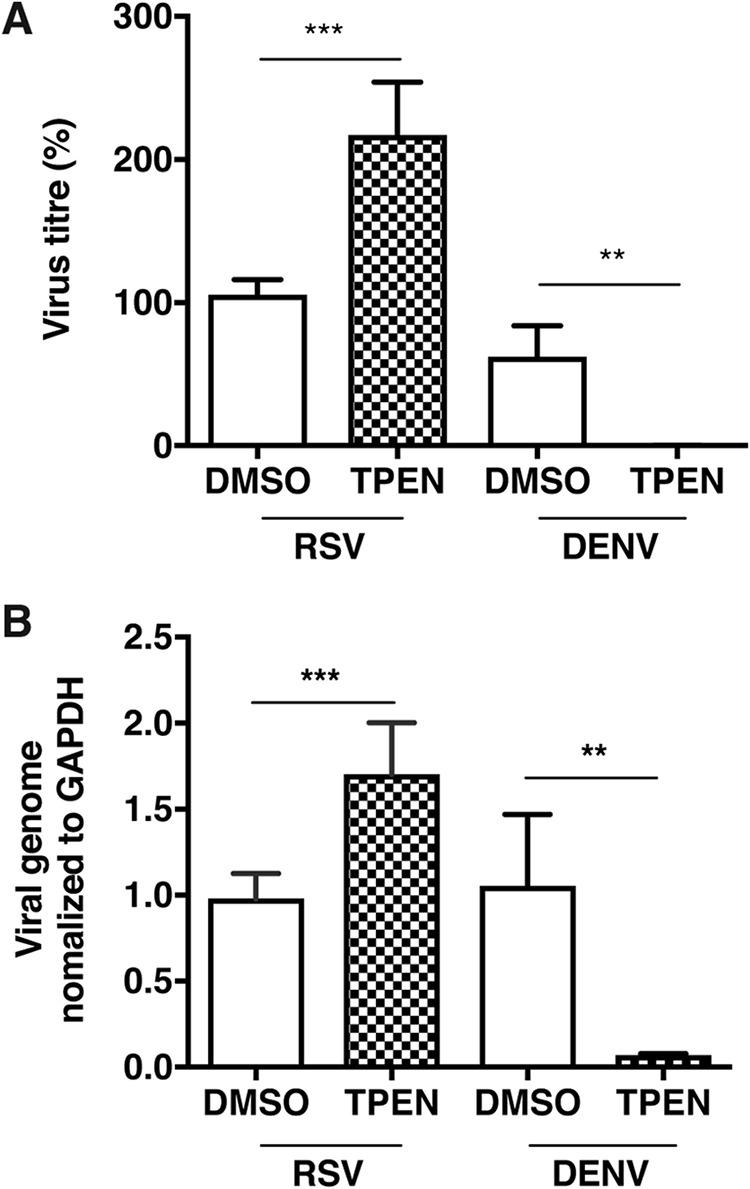 https://cdn.ncbi.nlm.nih.gov/pmc/blobs/5fa5/7253603/767301ea1519/mSphere.00447-20-f0006.jpg