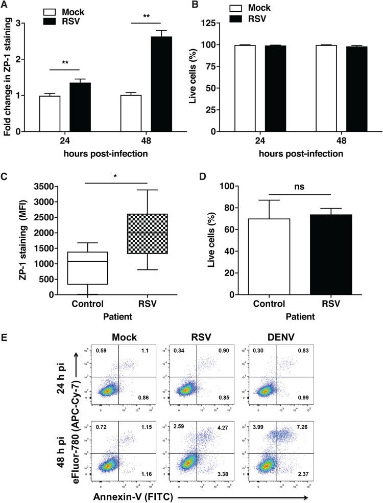 https://cdn.ncbi.nlm.nih.gov/pmc/blobs/5fa5/7253603/98ac942caf80/mSphere.00447-20-f0002.jpg
