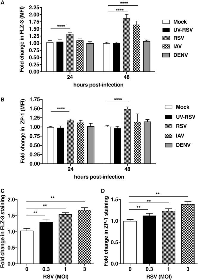 https://cdn.ncbi.nlm.nih.gov/pmc/blobs/5fa5/7253603/d03a0d62578c/mSphere.00447-20-f0001.jpg