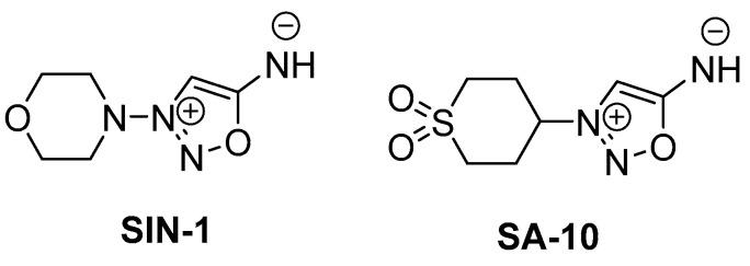 https://cdn.ncbi.nlm.nih.gov/pmc/blobs/5fa6/10931063/4263170f14fb/cells-13-00396-g001.jpg