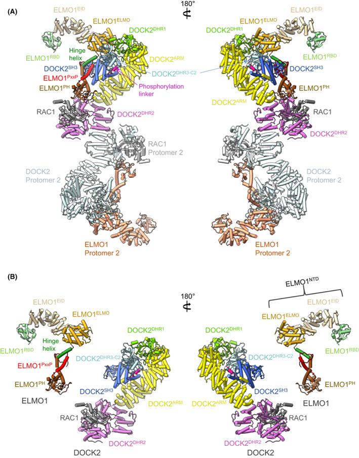 https://cdn.ncbi.nlm.nih.gov/pmc/blobs/5fa7/10152721/a0526fdca029/FEB2-597-794-g005.jpg