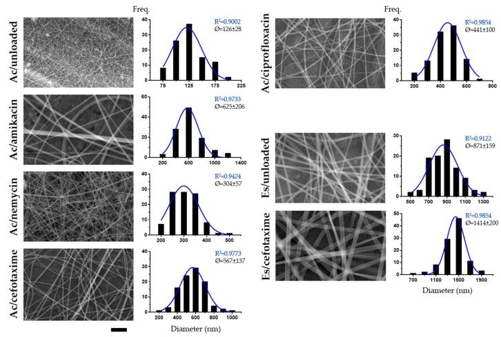 https://cdn.ncbi.nlm.nih.gov/pmc/blobs/5fa7/7153258/45c1d0ffe2b5/nanomaterials-10-00486-g002.jpg