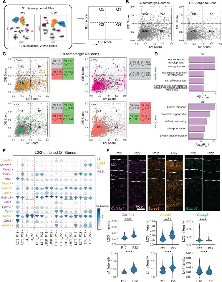 https://cdn.ncbi.nlm.nih.gov/pmc/blobs/5fa8/12119026/947ca0ebe1a1/pbio.3003176.g002.jpg