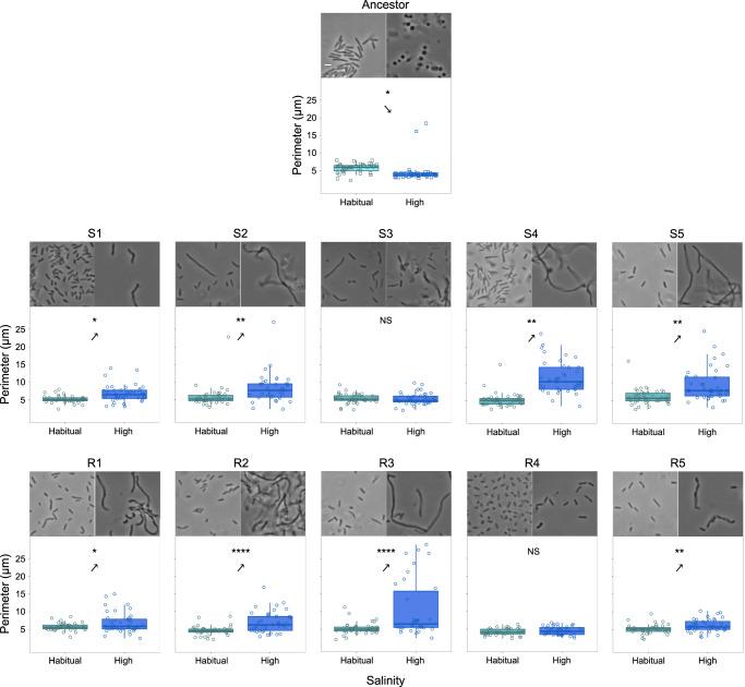 https://cdn.ncbi.nlm.nih.gov/pmc/blobs/5fa9/10272148/42900e8649f3/41467_2023_39320_Fig3_HTML.jpg