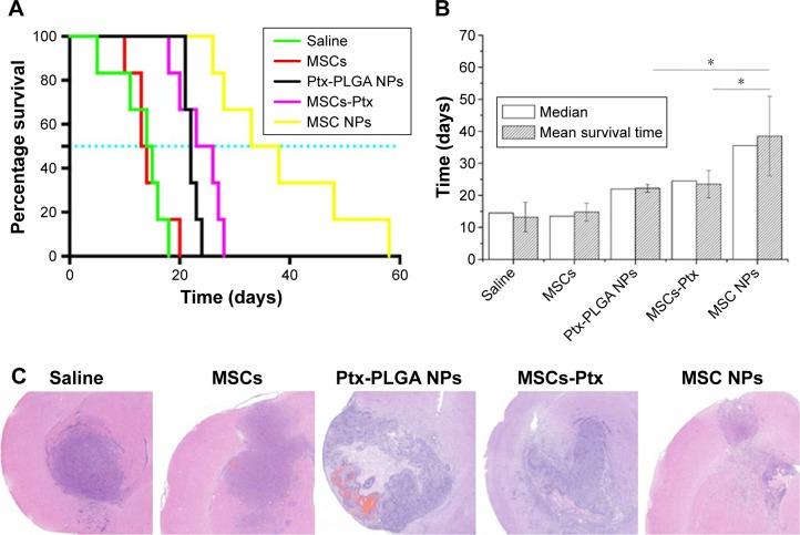 https://cdn.ncbi.nlm.nih.gov/pmc/blobs/5faa/6136913/11d31e42e72f/ijn-13-5231Fig10.jpg