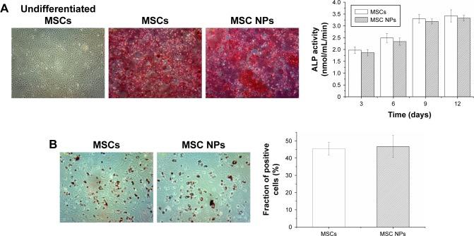 https://cdn.ncbi.nlm.nih.gov/pmc/blobs/5faa/6136913/94ff0eebb106/ijn-13-5231Fig7.jpg