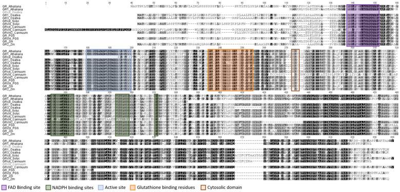 https://cdn.ncbi.nlm.nih.gov/pmc/blobs/5fab/10934734/1cf112a60923/plants-13-00609-g009.jpg