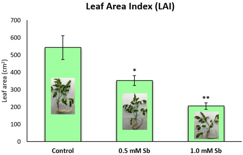 https://cdn.ncbi.nlm.nih.gov/pmc/blobs/5fab/10934734/2ced2ed0f379/plants-13-00609-g002.jpg