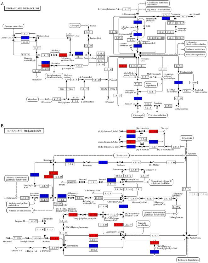 https://cdn.ncbi.nlm.nih.gov/pmc/blobs/5fac/11686369/99285eb9e074/41598_2024_83367_Fig6_HTML.jpg